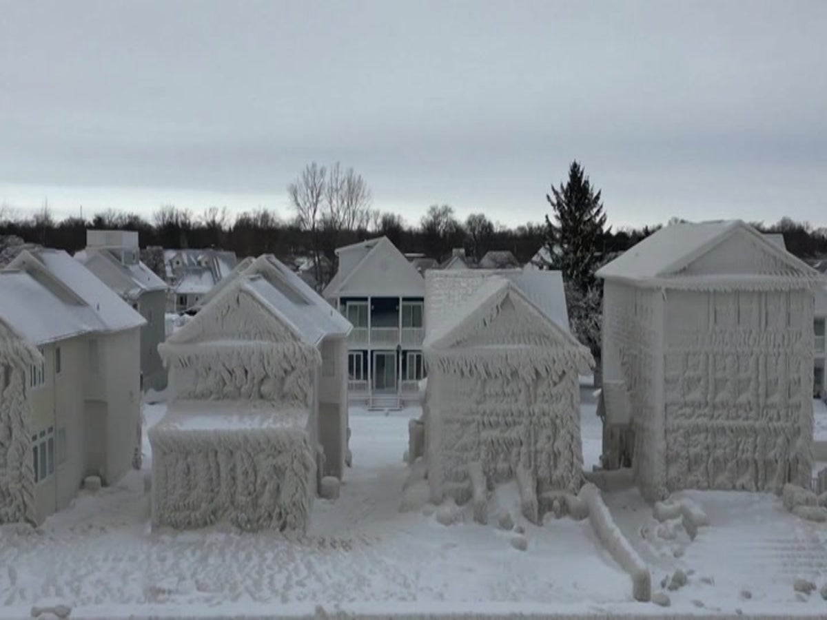 Family who died in freezing cold by US-Canada border identified - BBC News