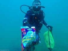 Diver rescues fish ensnared in ‘deadly’ underwater plastic