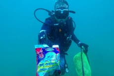 Diver rescues fish ensnared in ‘deadly’ underwater plastic