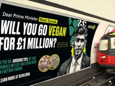 Rishi Sunak challenged to go vegan for a month in exchange for £1m charity donation