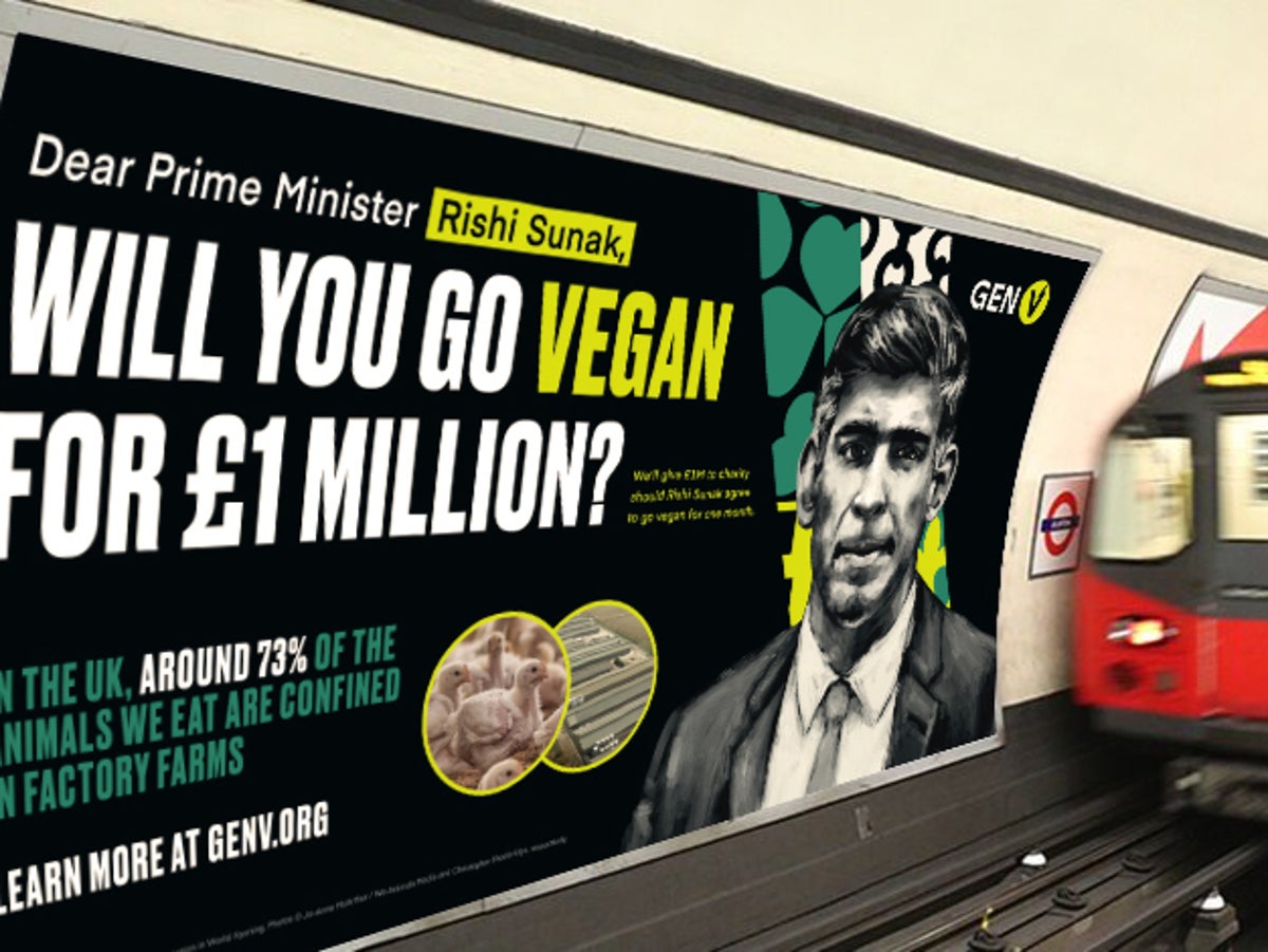 Rishi Sunak challenged to go vegan for a month in exchange for £1m charity donation