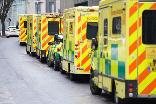 Ambulance services have reported high demand and having to queue outside hospitals with patients (James Manning/PA)