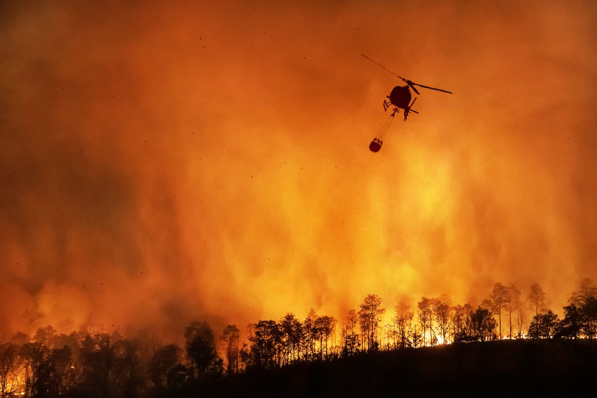 Firefighters tackled nearly 25,000 wildfires in hottest summer on record