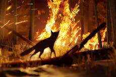 Wildfires released record-breaking amount of carbon dioxide in 2021 – study