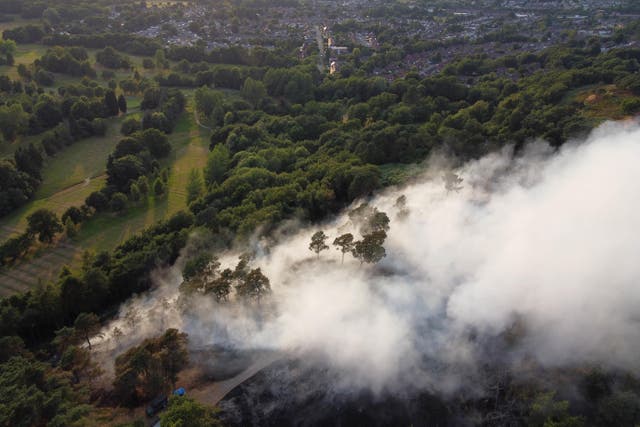 Firefighters respond to a large wildfire that has broken out in woodland at Lickey Hills Country Park on the edge of Birmingham, in July (Jacob King/PA)