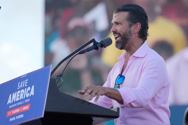 <p>Donald Trump Jr speaking at a campaign rally </p>