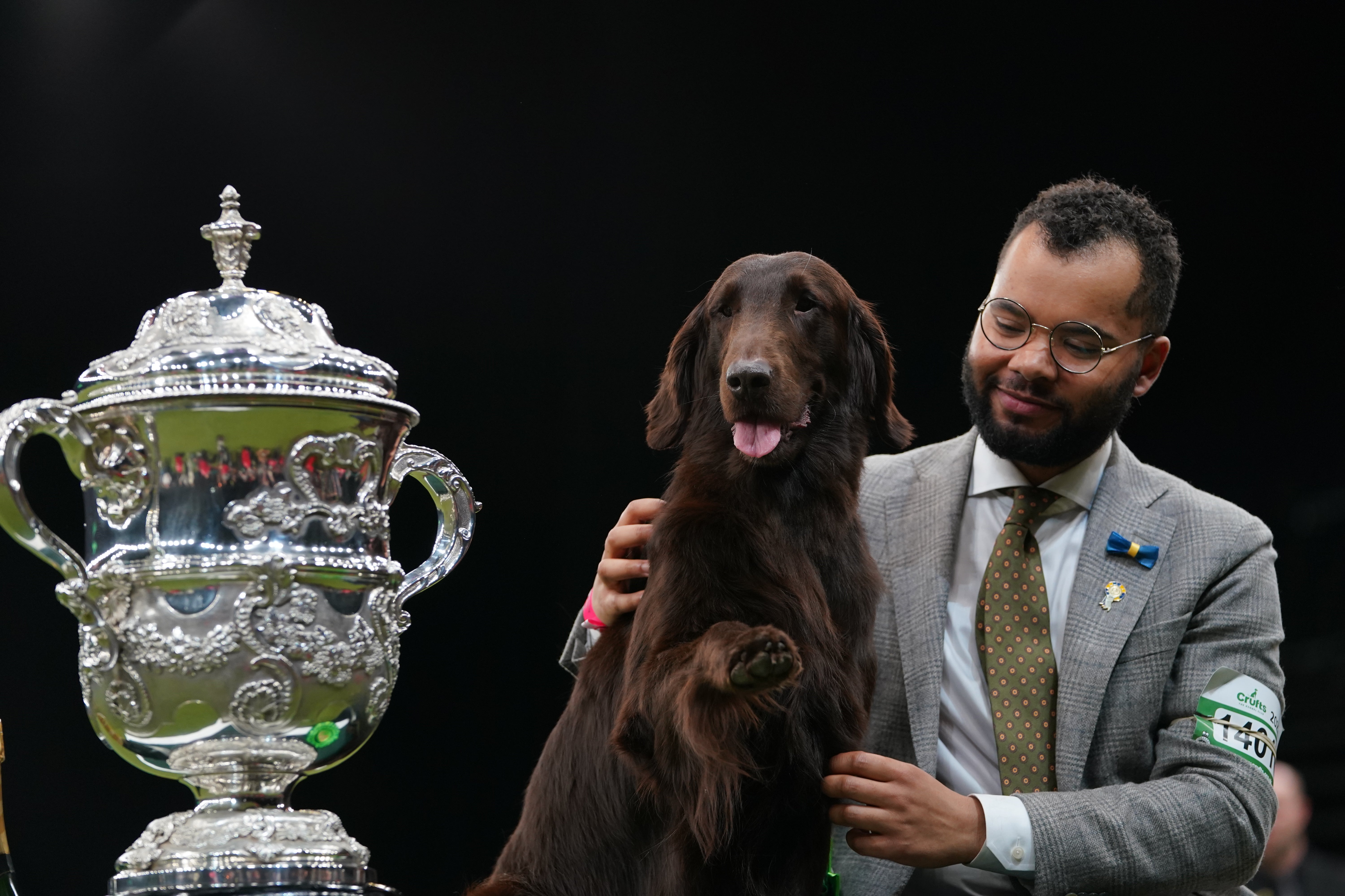 Gundog winner Baxer, a flat-coated retriever who has won Best In Show during the final day of the Crufts Dog Show at the Birmingham National Exhibition Centre (NEC)