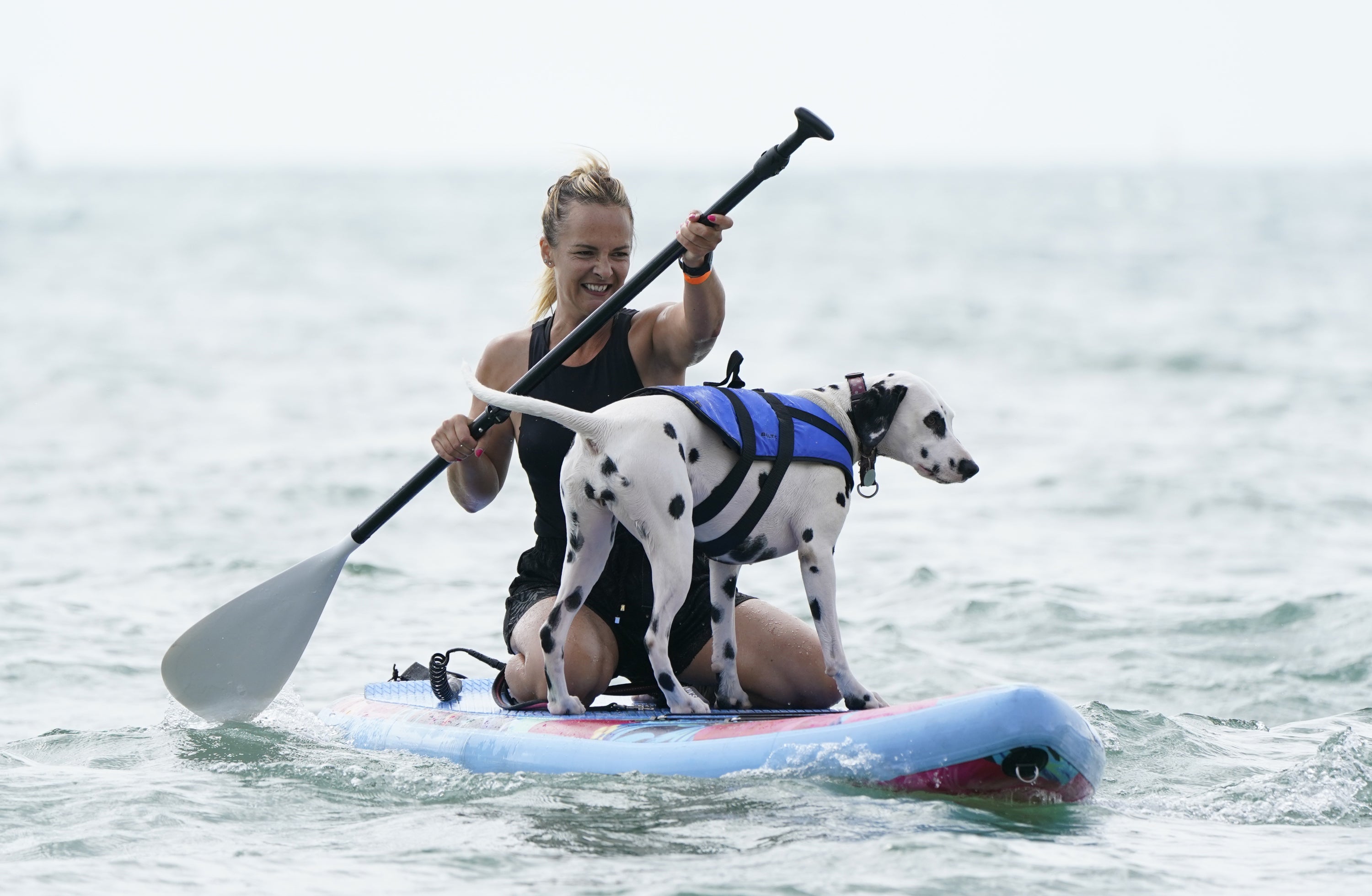 Marina White and her dog Coco take part in a heat during the Dog Masters 2022 UK Dog Surfing Championships at Branksome Dene Chine beach in Poole, Dorset