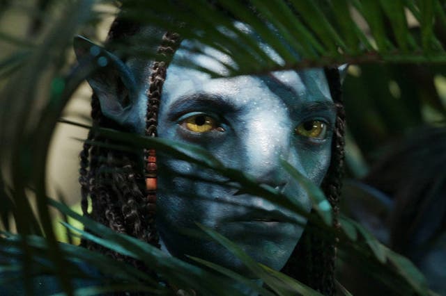<p>Sam Worthington in ‘Avatar: The Way of Water'</p>