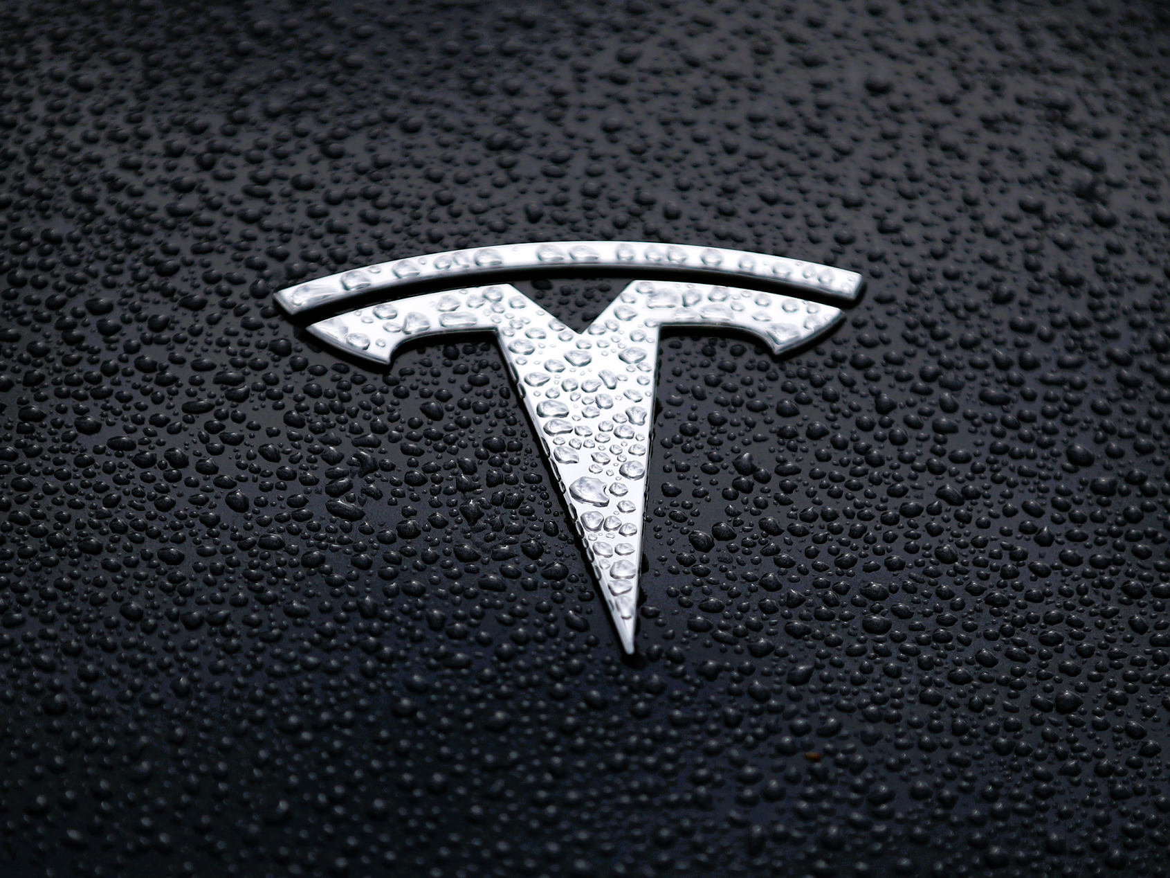 Tesla stock dropped by around 65 per cent between January-December 2022