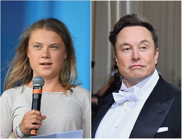 <p>Greta Thunberg (left) and Elon Musk</p>