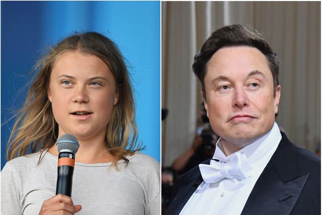 <p>Greta Thunberg (left) and Elon Musk</p>