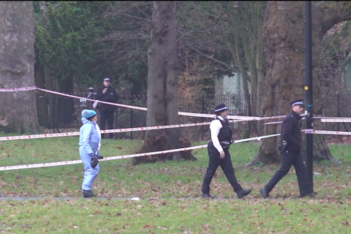 Man, 29, dies after being stabbed in heart in London park