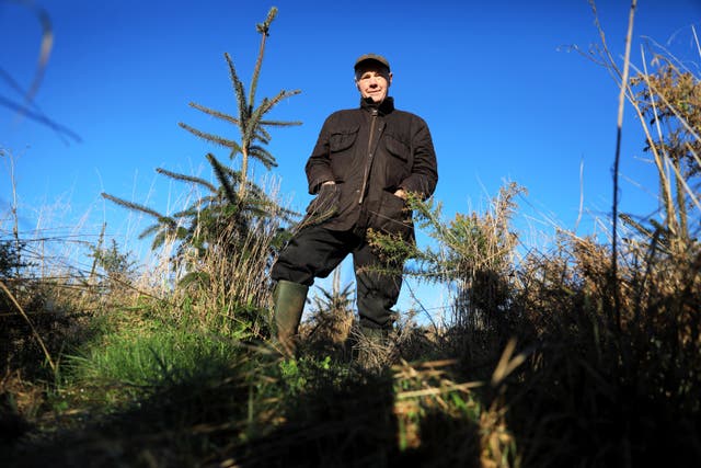 Stewart Hood who has planted over 20,000 trees on his land in the countryside just outside Antrim (Peter Morrison/PA)