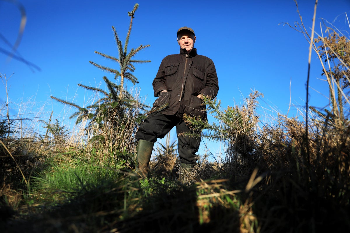 Pensioner hailed as eco-champion after planting 20,000 trees on disused land