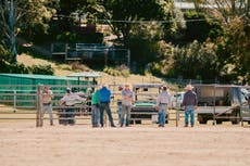 Man dies after being struck by bull at New Year’s Eve rodeo in Australia