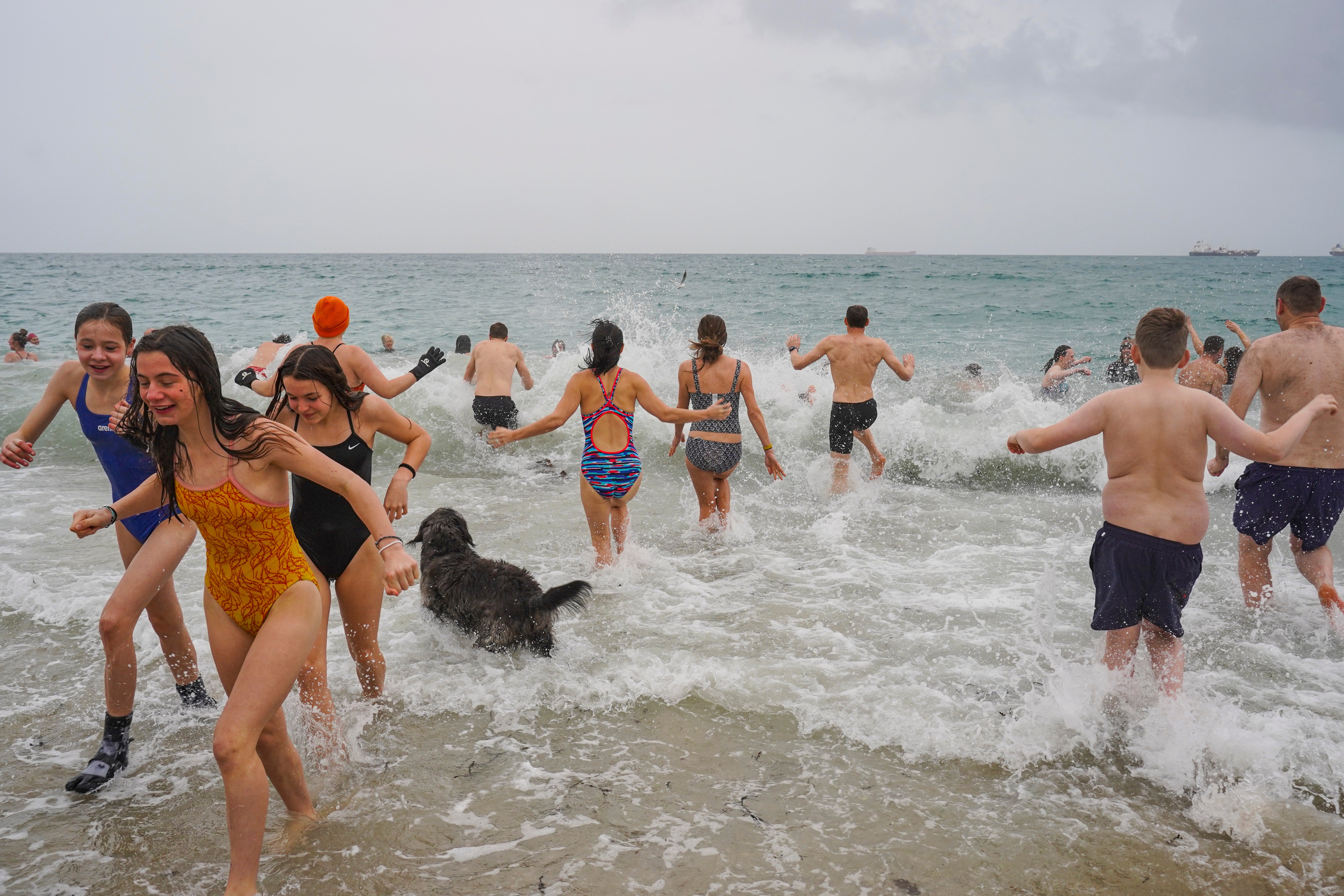The traditional New Year’s Day sea swim in at Gyllyngvase