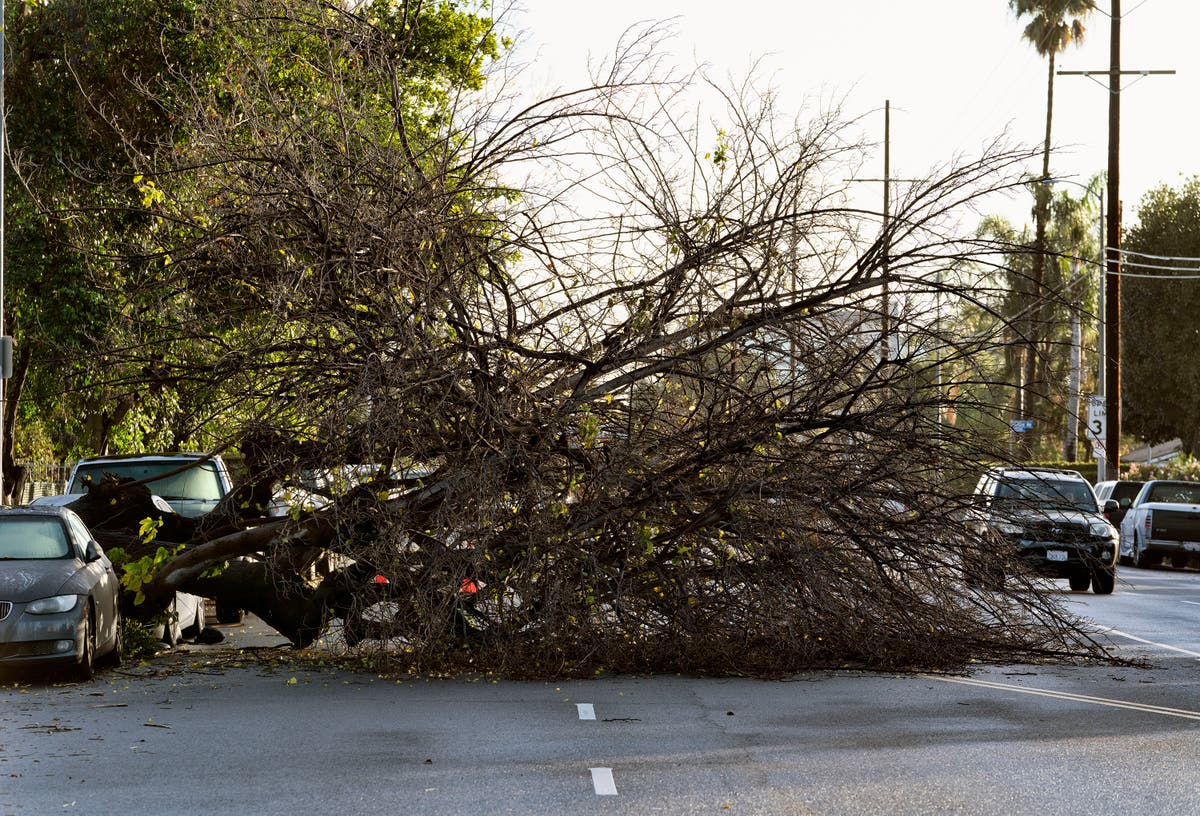 California dries out, digs out after storm dumps rain, snow