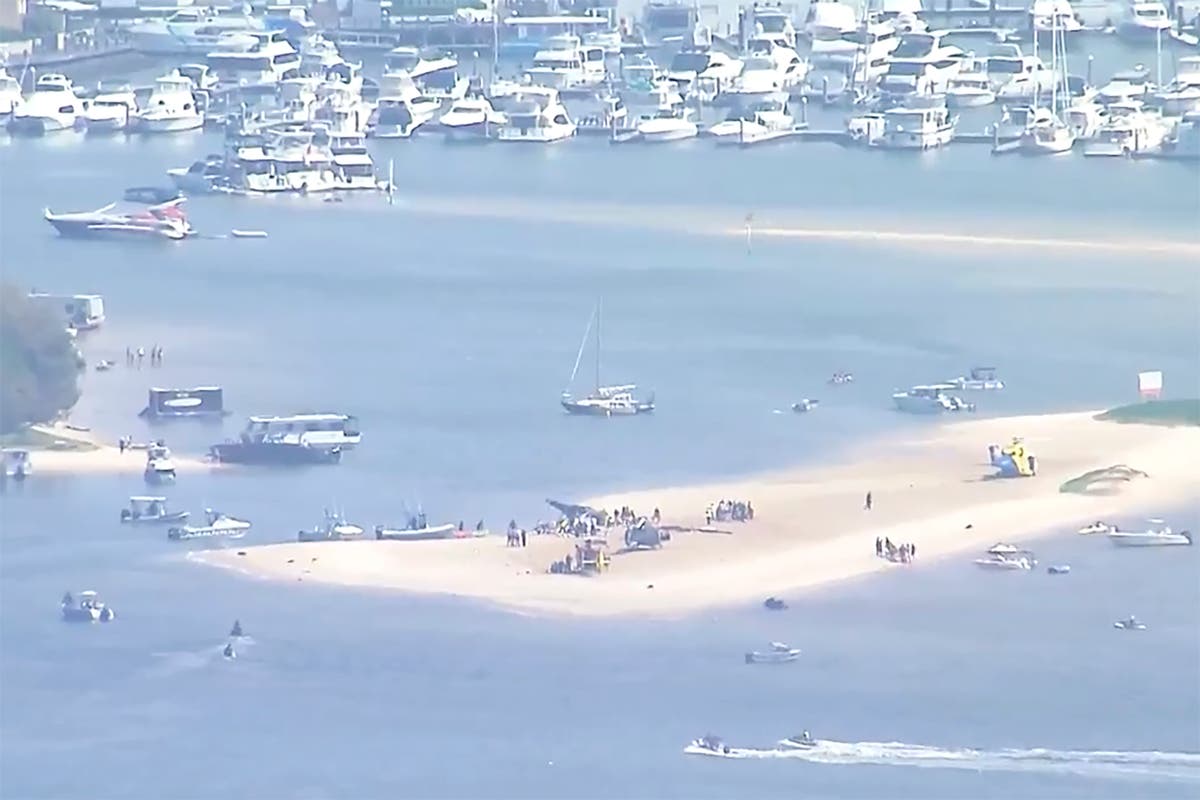 Gold Coast helicopter crash: Four killed and three critical after collision near Sea World
