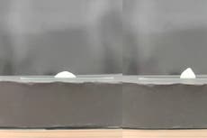 Scientists find key to fat-free cream in beer and plants