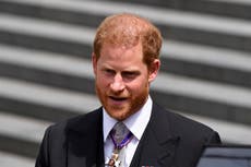 Prince Harry news – live: Duke claims woman gave him ‘message’ from Diana in book Spare