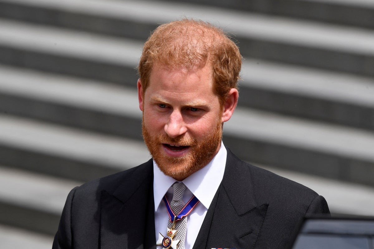 Prince Harry news – latest: Duke claims woman gave him ‘message’ from Diana in book Spare