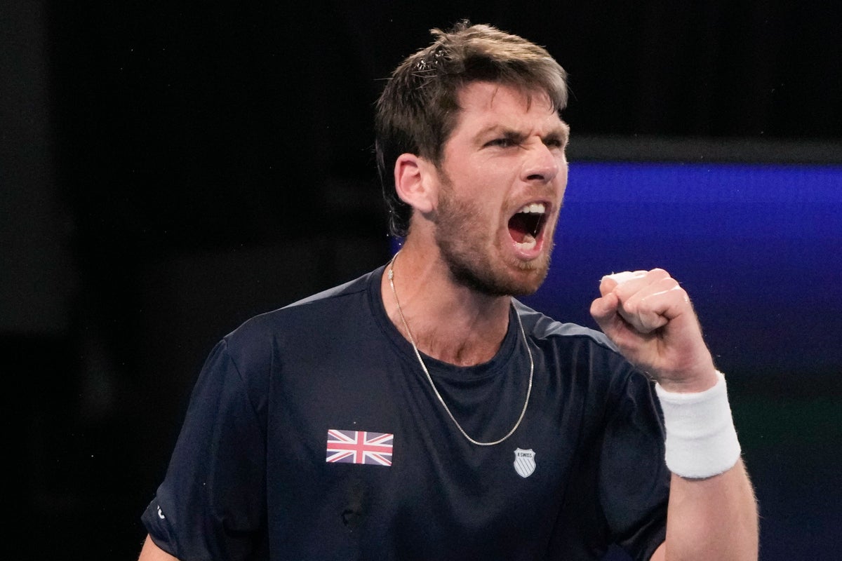 Cameron Norrie equalizes Great Britain’s tie against USA in the FA Cup