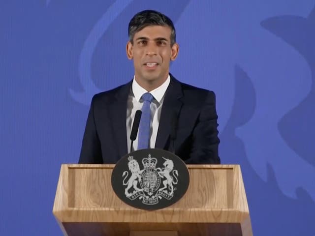<p>Rishi Sunak outlined vision for 2023 during speech in London </p>