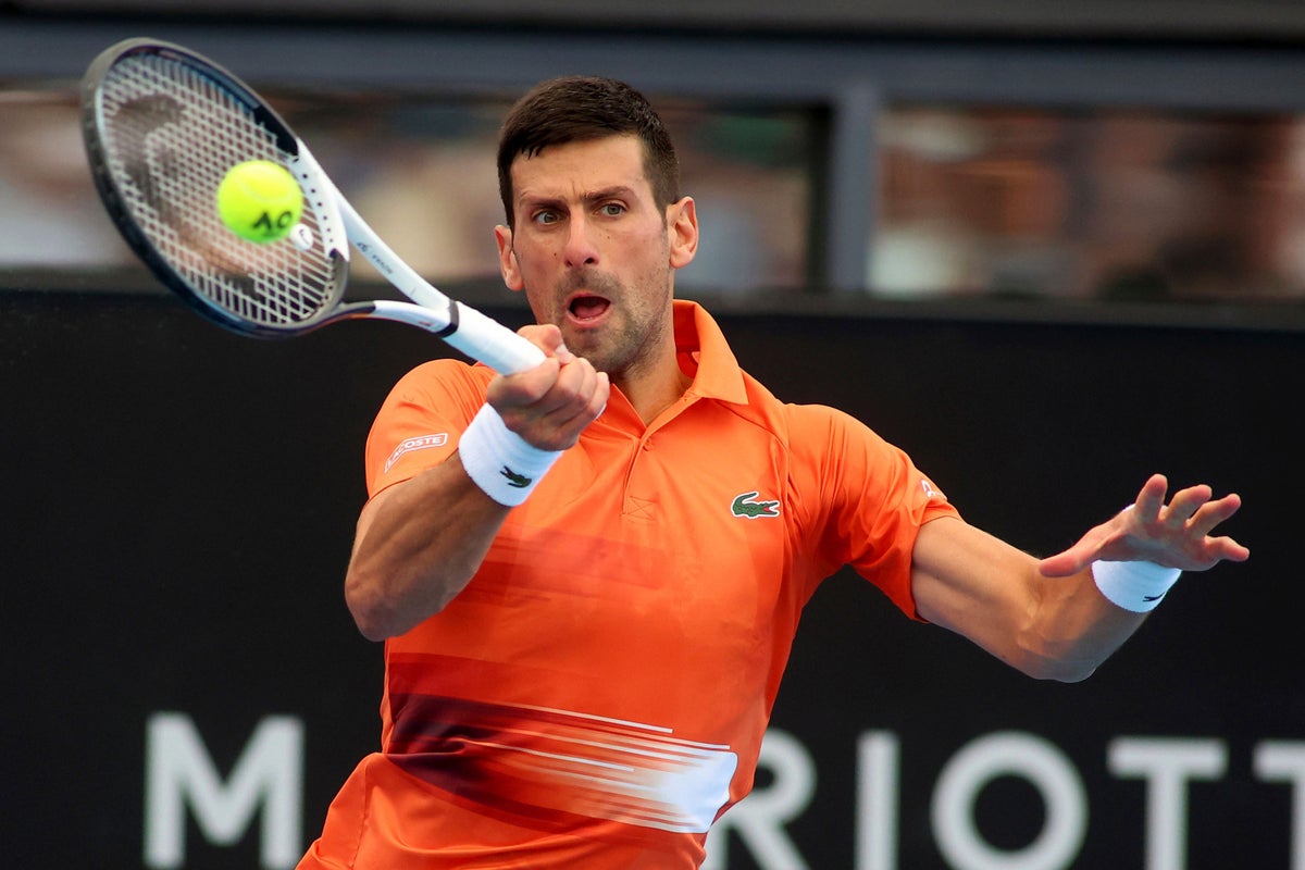 Novak Djokovic delighted to overcome ‘big fight’ with Quentin Halys in Adelaide
