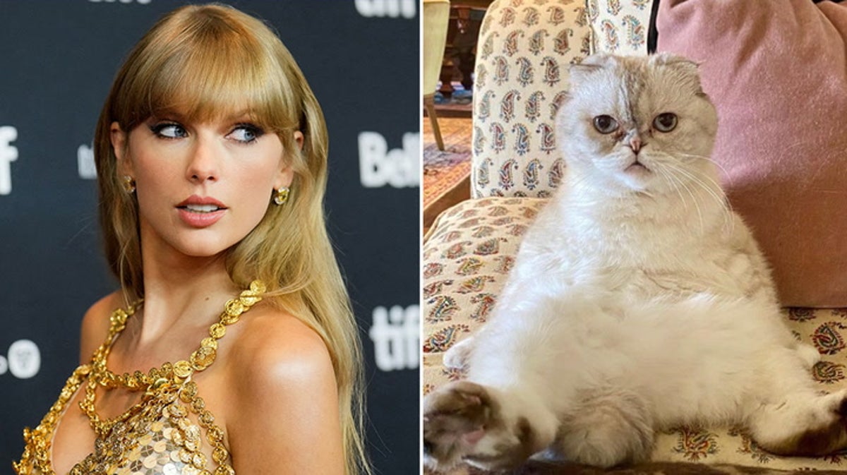Taylor Swift’s cat, Olivia Benson, reportedly worth staggering $97m