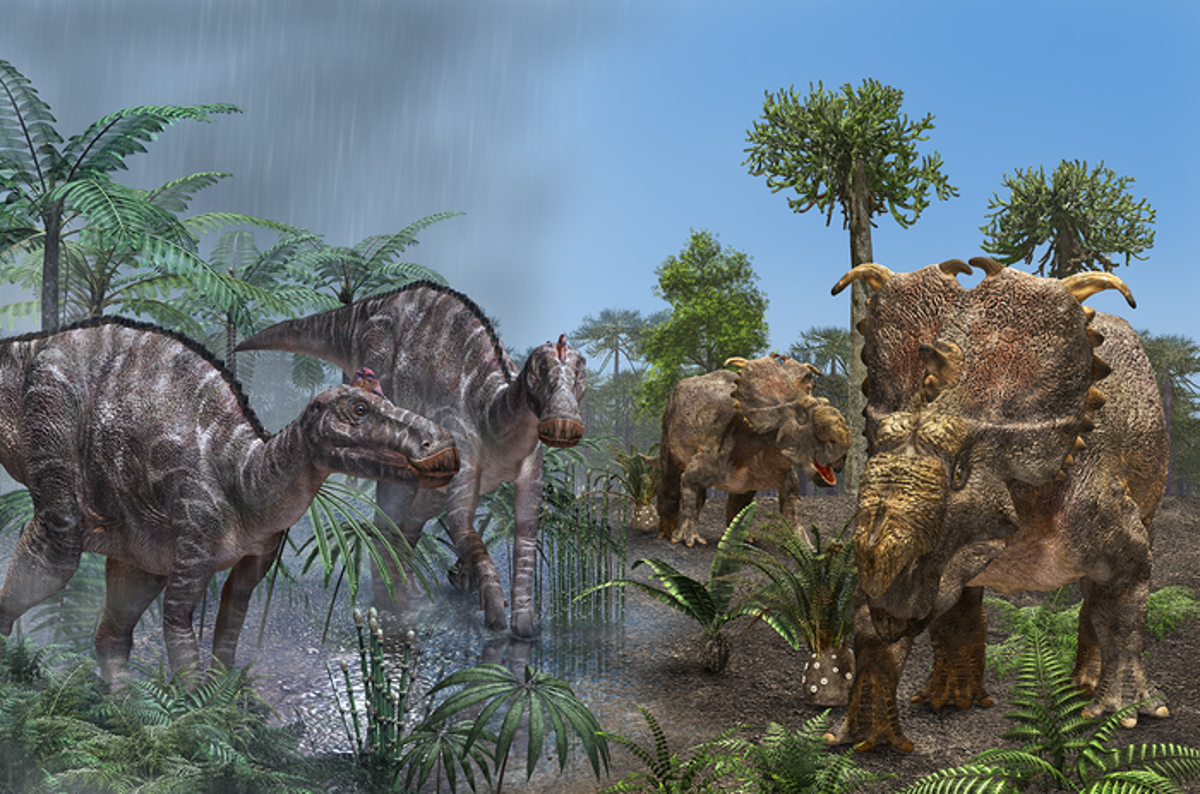 Los científicos han descubierto diferencias sorprendentes en la forma en que los dinosaurios herbívoros comían su comida.