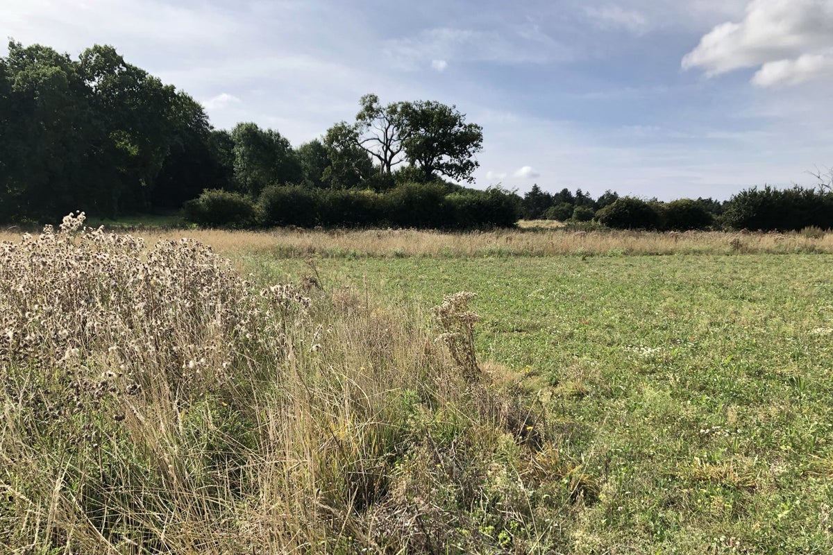 Increased payments for farmers to protect the environment | The Independent