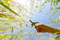 Why my New Year’s resolution is to travel without flying – for the fourth year in a row