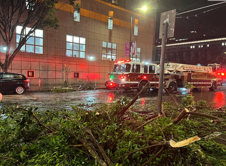 Downed trees in San Francisco from the bomb cyclone