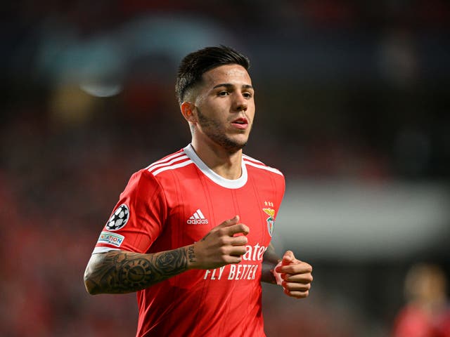 <p>Enzo Fernandez in action for Benfica in this season’s Champions League</p>