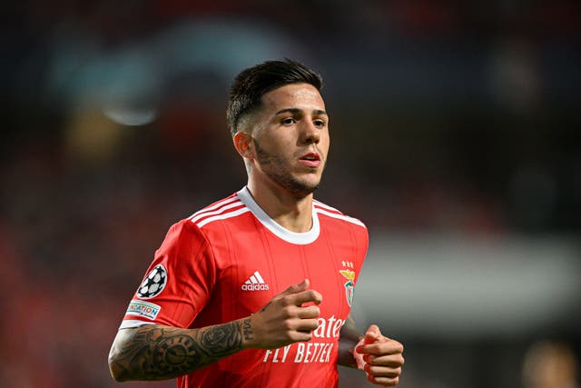 <p>Enzo Fernandez in action for Benfica in this season’s Champions League </p>
