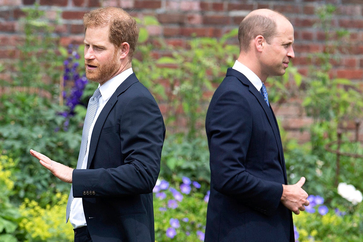 Prince Harry wrote that his brother warned him against marrying Meghan Markle