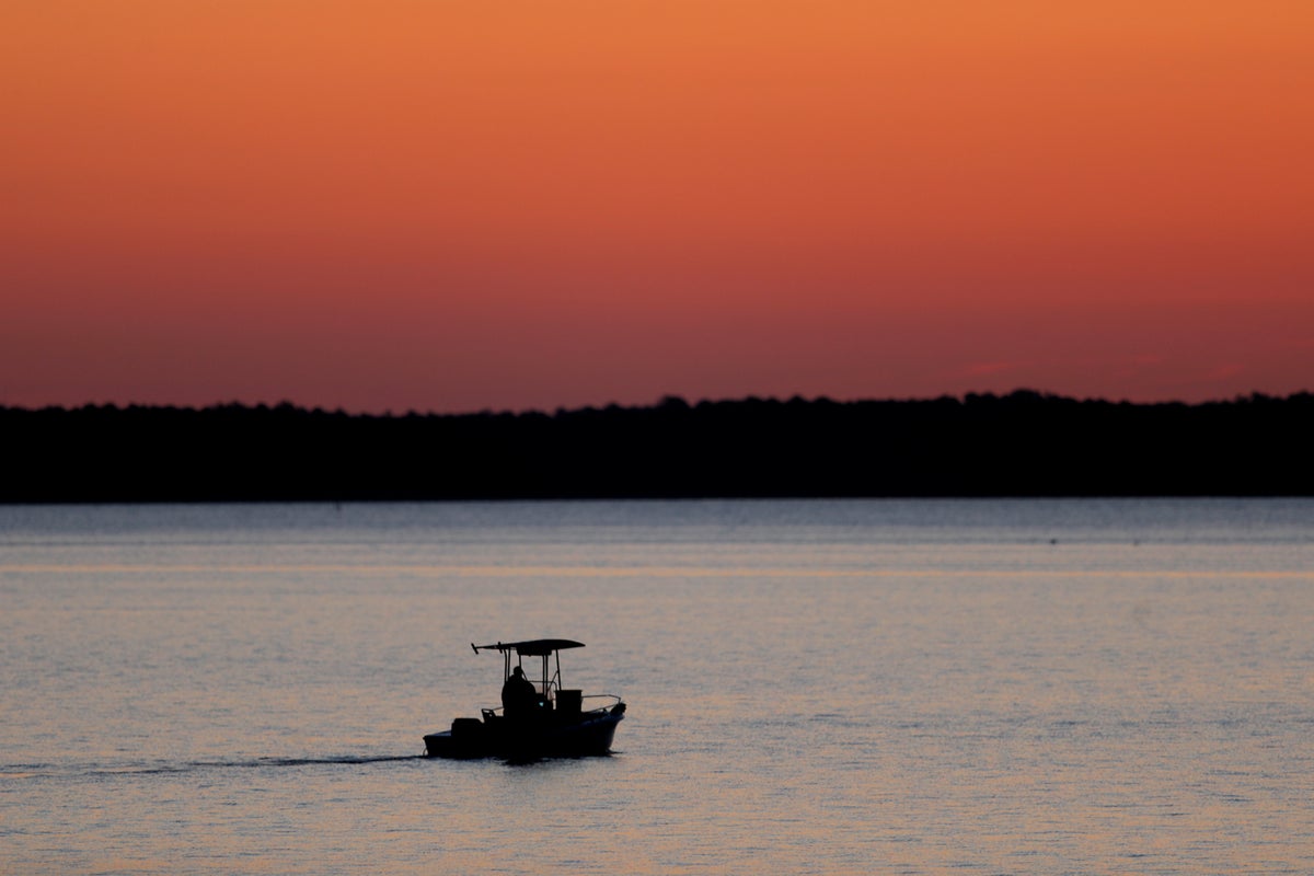 Report: US's largest estuary, Chesapeake Bay, earns D-plus