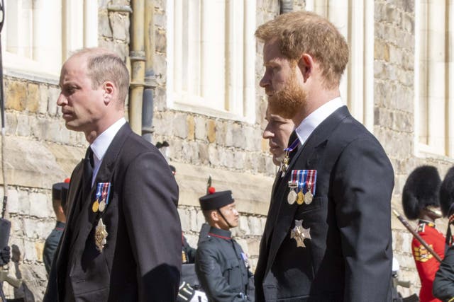 William and Harry (Ian Vogler/Daily Mirror/PA)