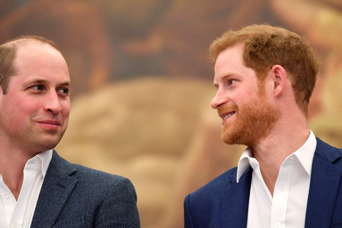 Harry was left with &lsquo;scrapes and bruises&rsquo; after William&rsquo;s alleged assault on him