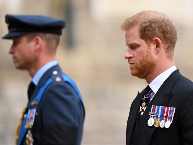 <p>Prince William and Harry at the Queen’s funeral </p>