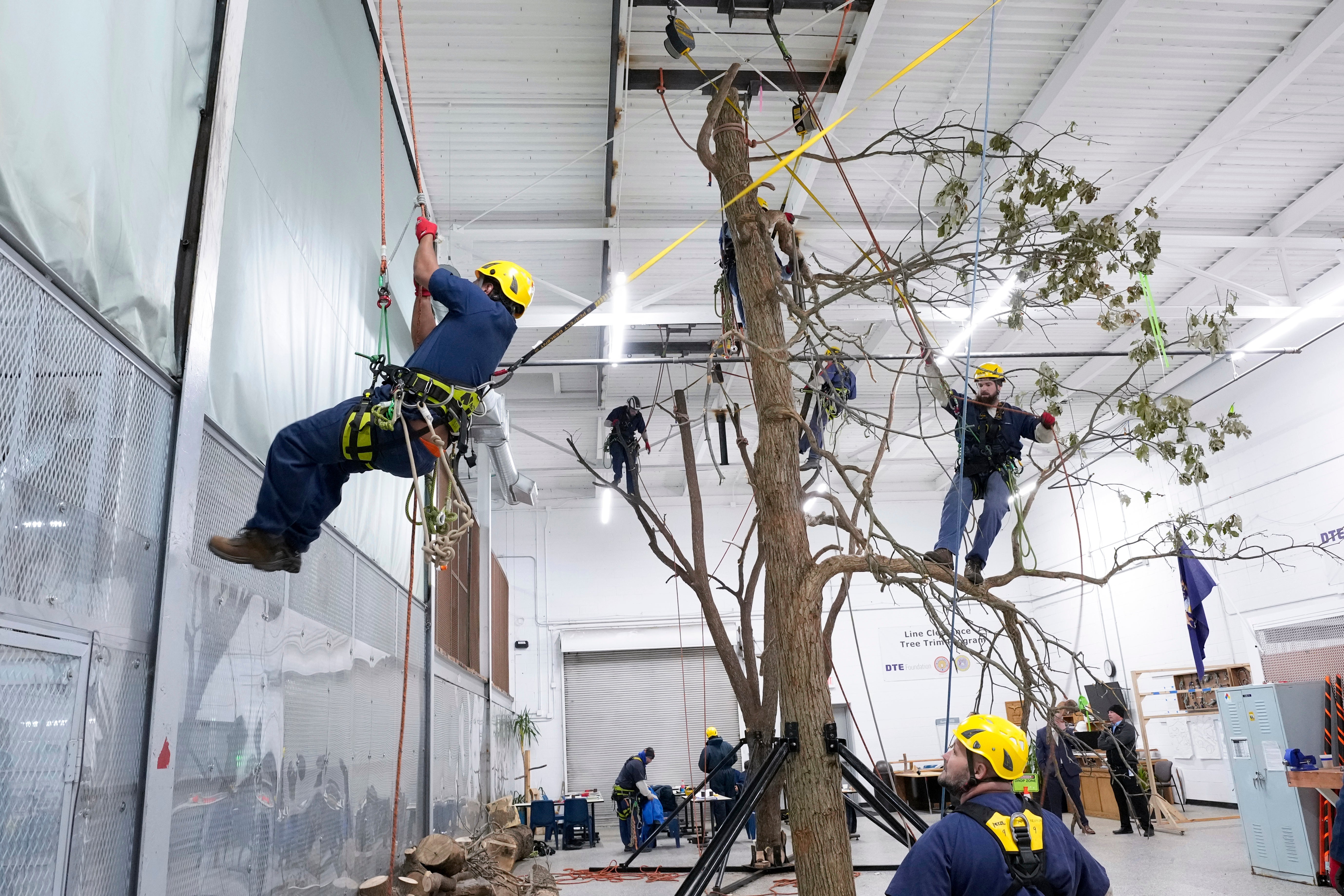 Inmate Tree Trim Training