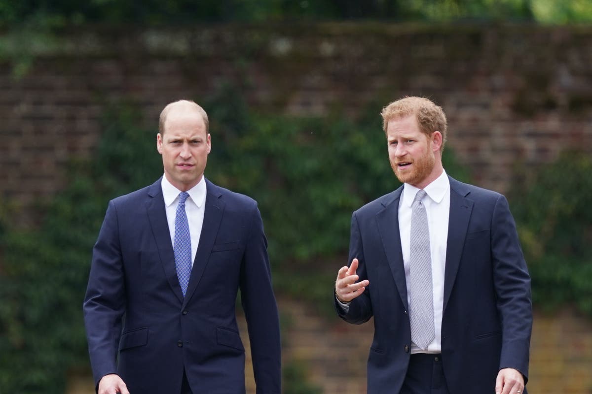 Harry left with ‘bruises’ after William’s alleged assault: How to deal ...