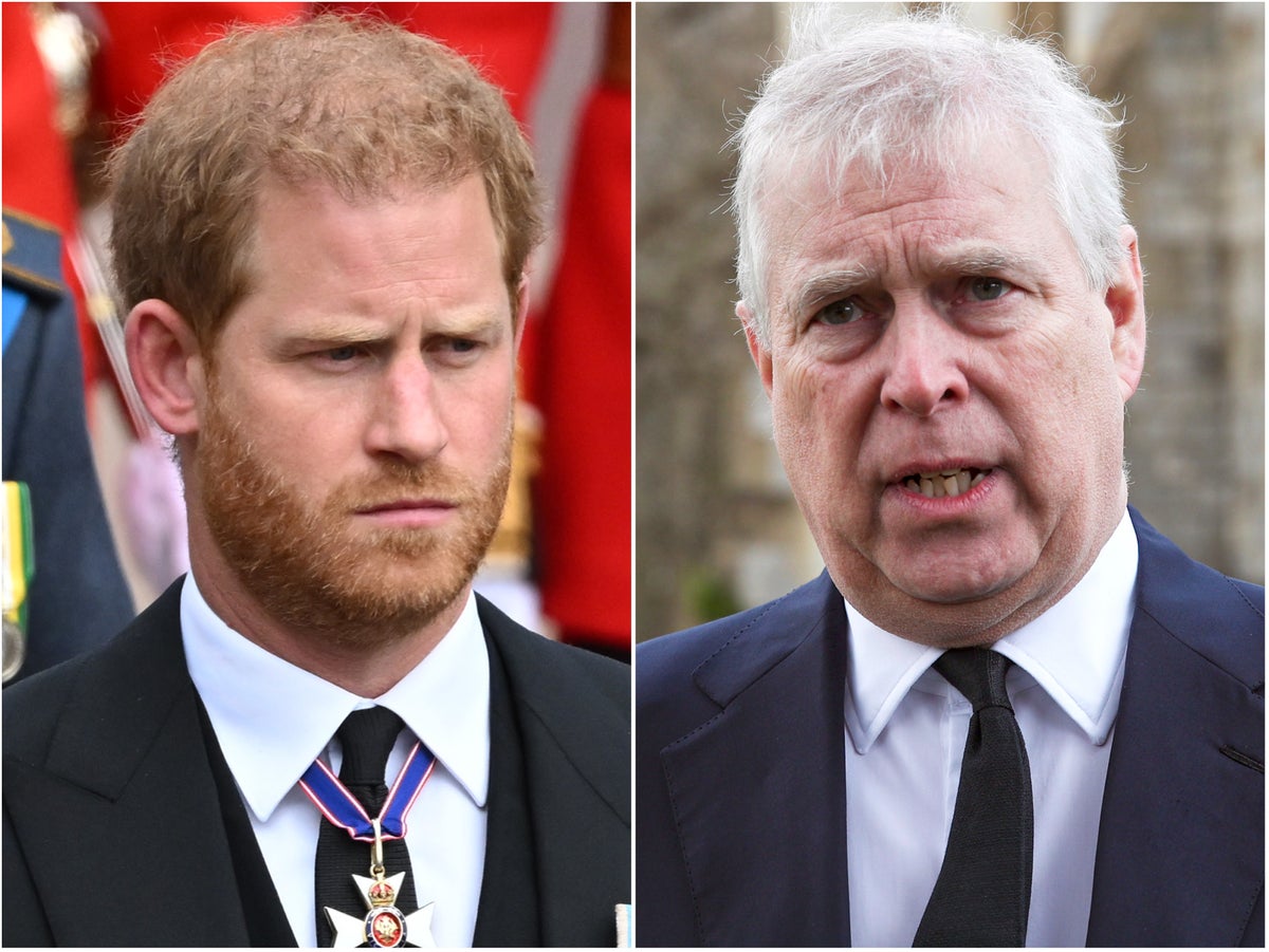 Prince Andrew and Prince Harry to have no formal role at King’s coronation