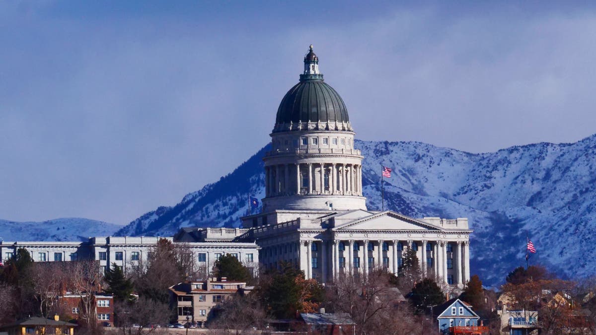 States target transgender health care in first bills of 2023