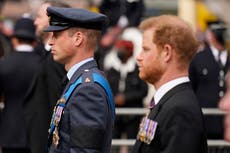 Prince Harry – live: Duke says he and William believed Diana faked her death for ‘many years’y