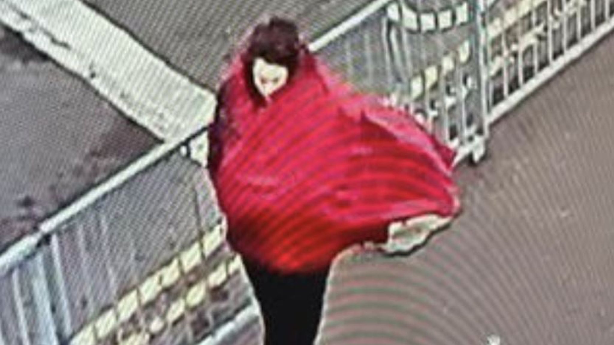 Police released a CCTV image of a woman believed to be Constance Marten