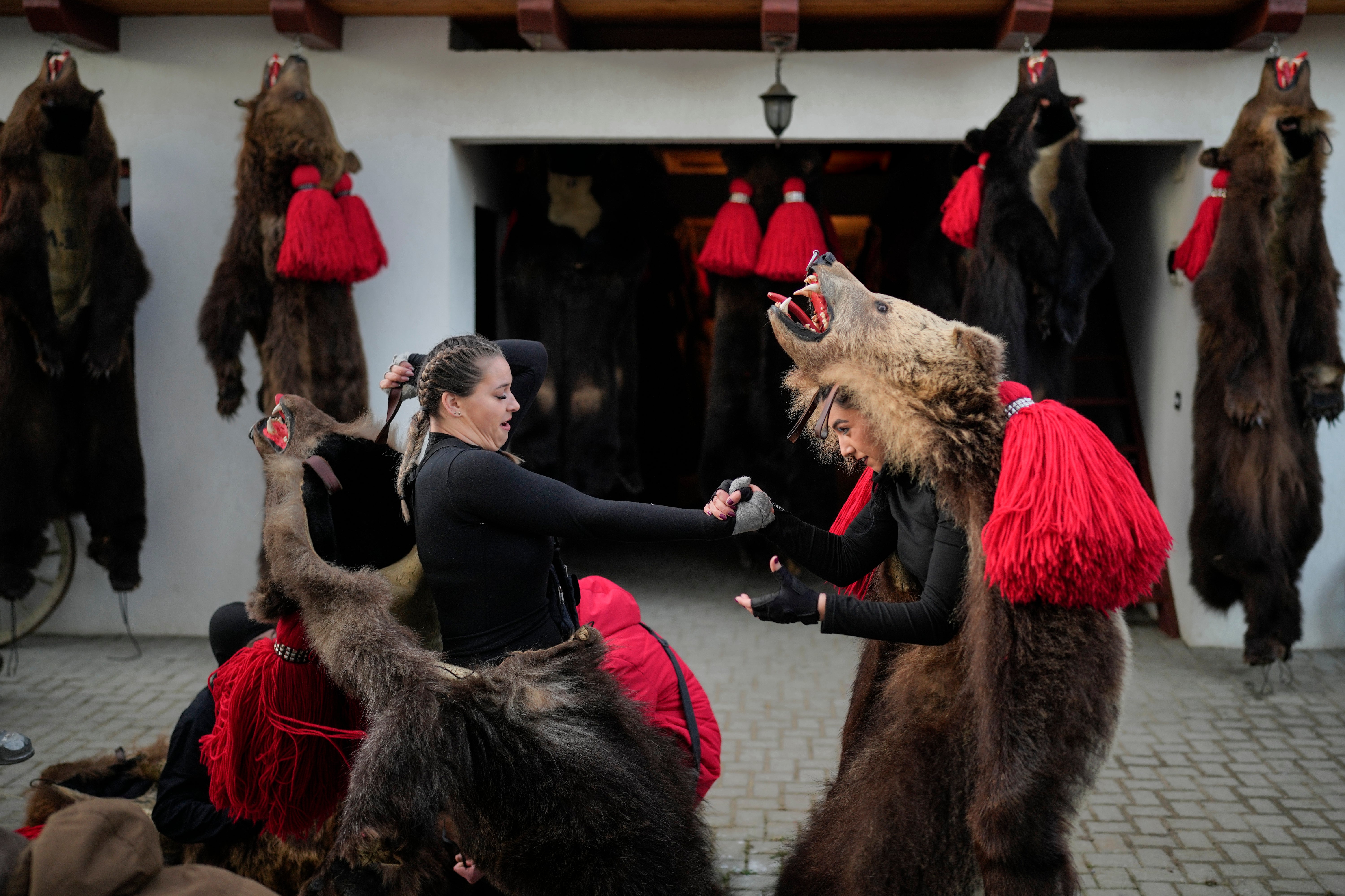 Romania Bear Dance Photo Gallery