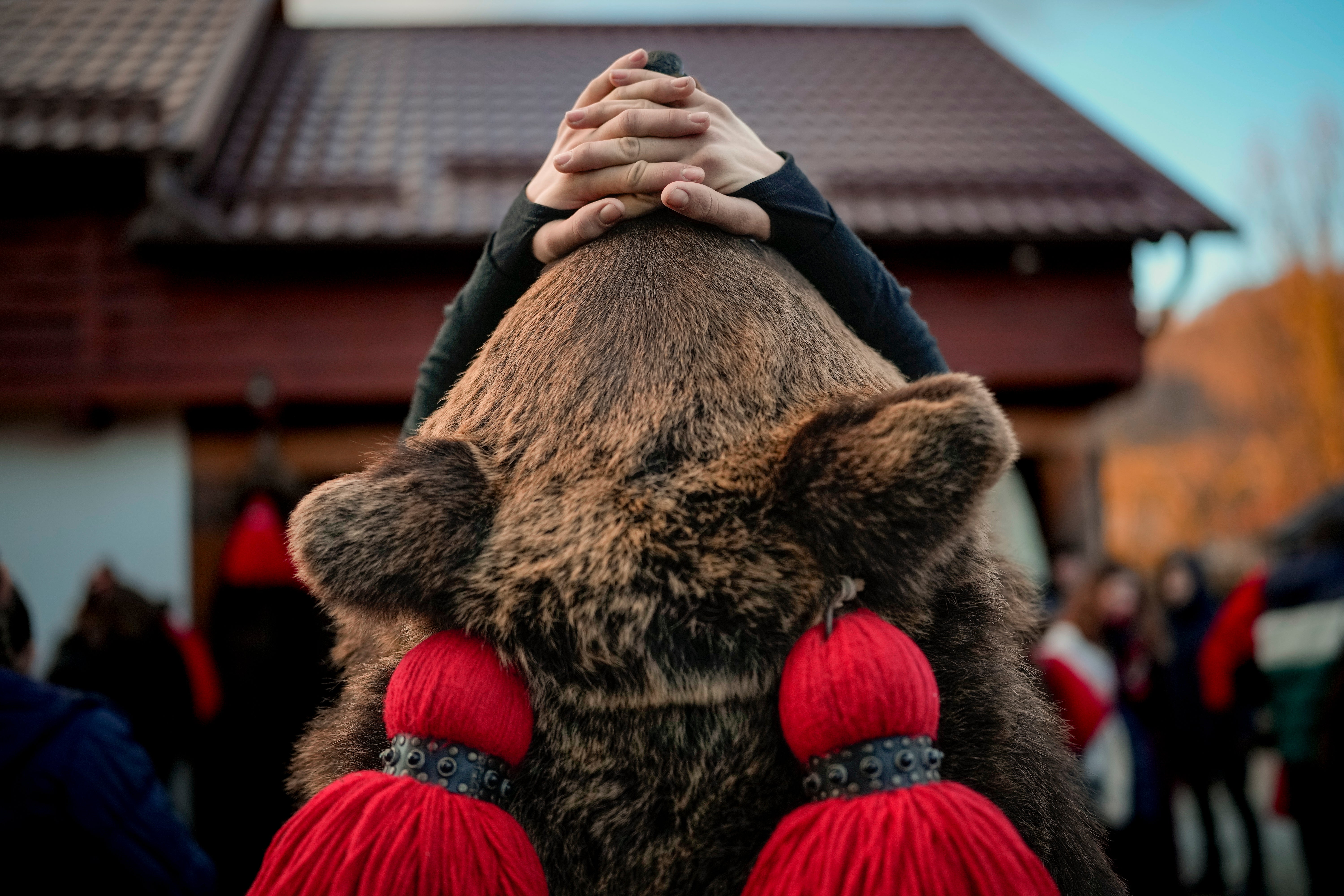 Romania Bear Dance Photo Gallery