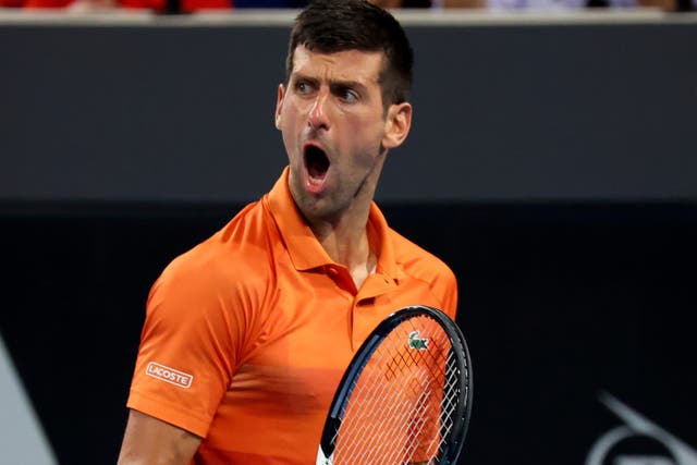 <p>Novak Djokovic claimed the 92nd tour-level trophy of his career (AP Photo/Kelly Barnes/PA)</p>